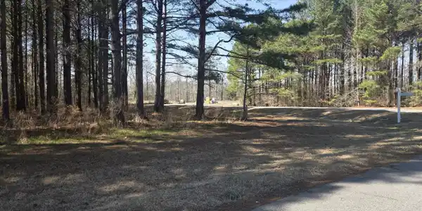 Image 4: Winfall Corner View