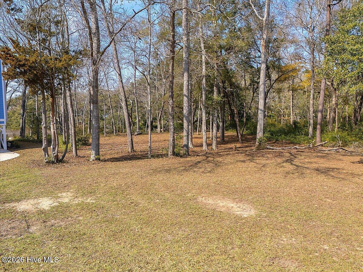 Image 1: 10-Final 2021 Healing Water Ln SW Supply