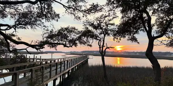 Image 3: Mangum 6
