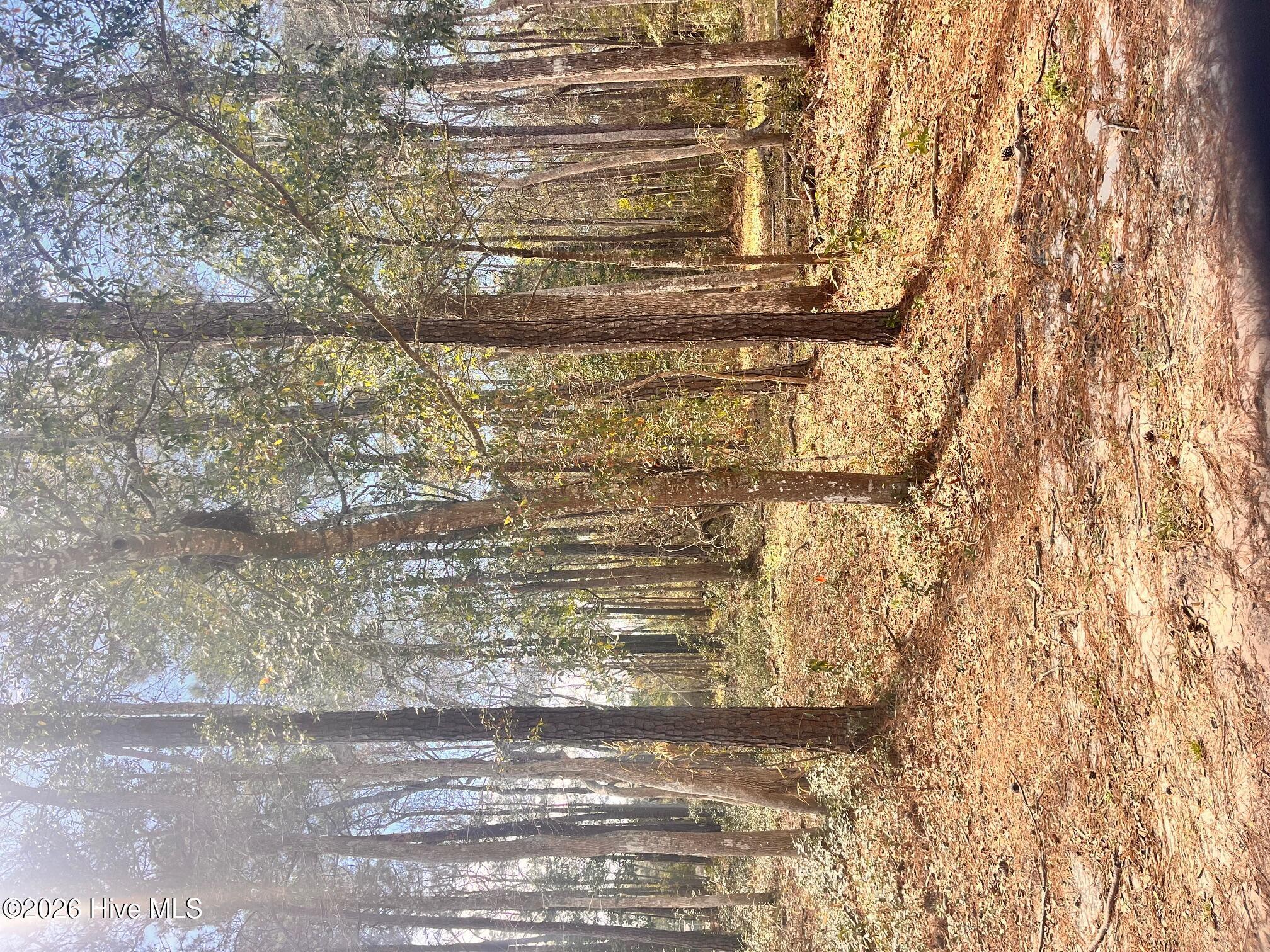 Image 1: 565 Third St.