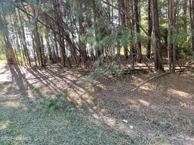 Lot 10 Bethel Creek Lane