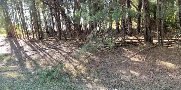 Lot 10 Bethel Creek Lane