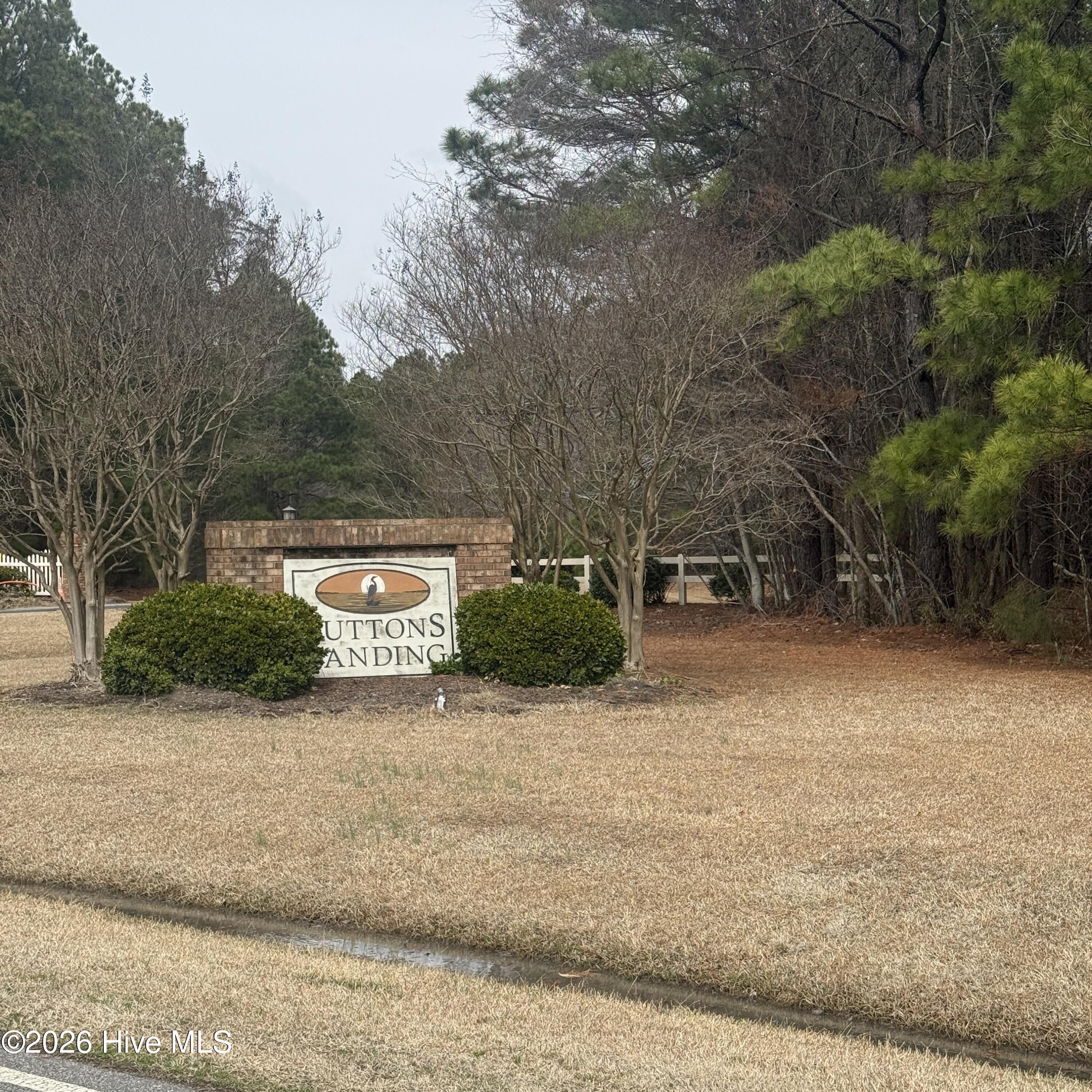Image 3: IMG_4488