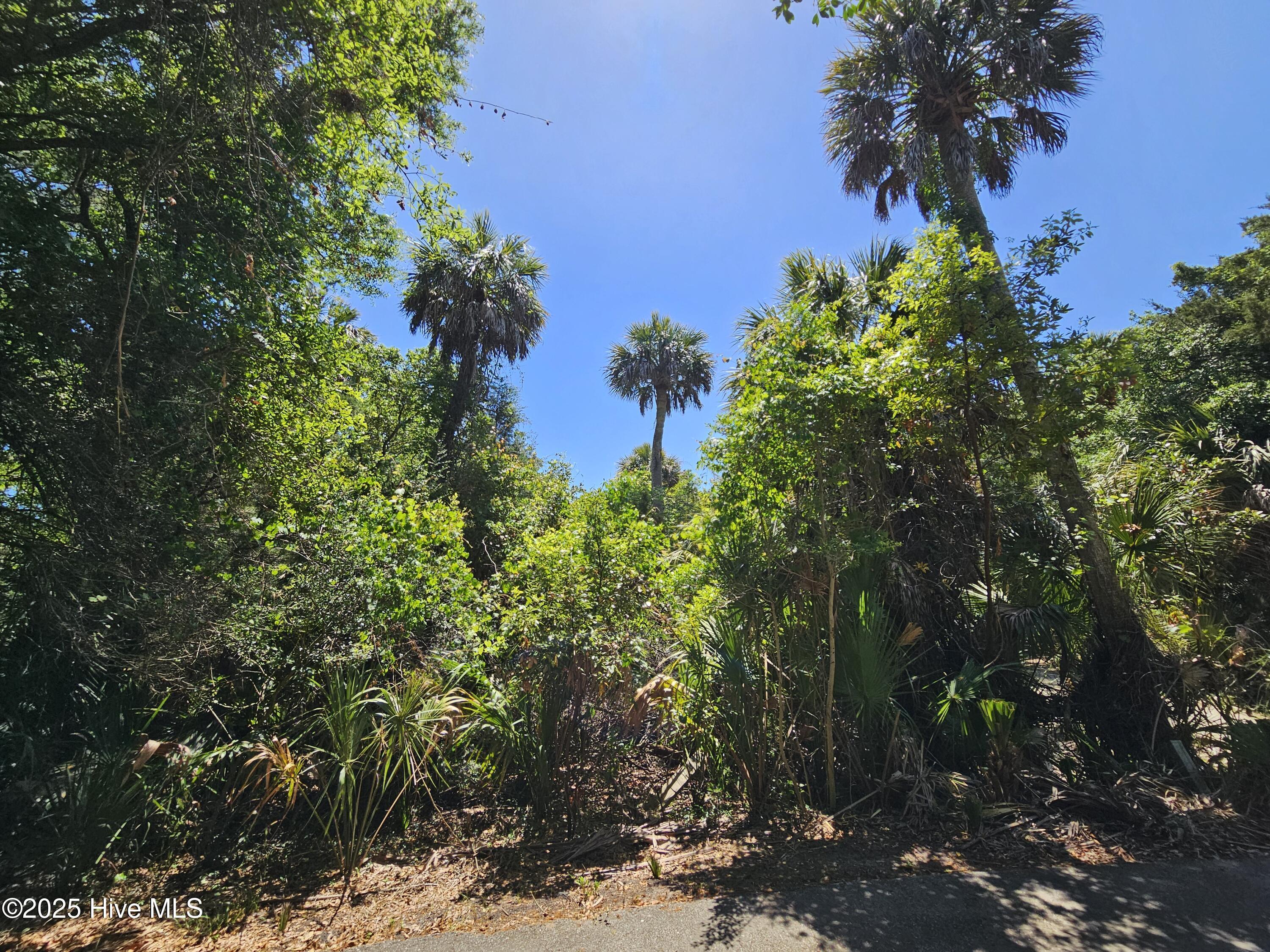 Image 3: 20250501_135504