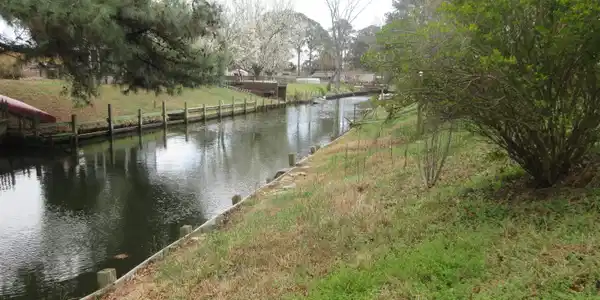 Image 3: IMG_3311