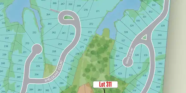 Image 2: Lot 311