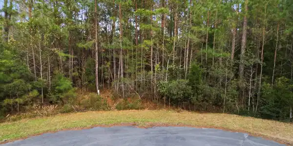 Image 4: 121 Mason Lane, Merritt, NC 28556