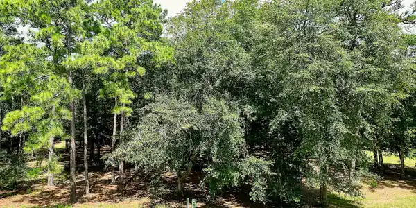 3121 Bogie Court SW
