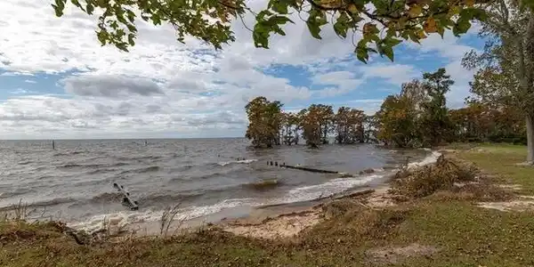 Image 2: Community Park/Beach