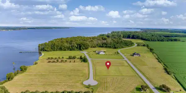 Image 4: lot5