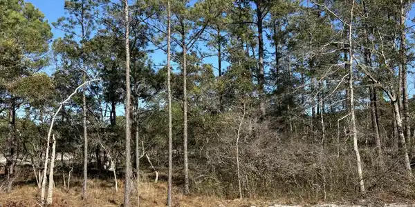 Lot 135 Coral Gull Street