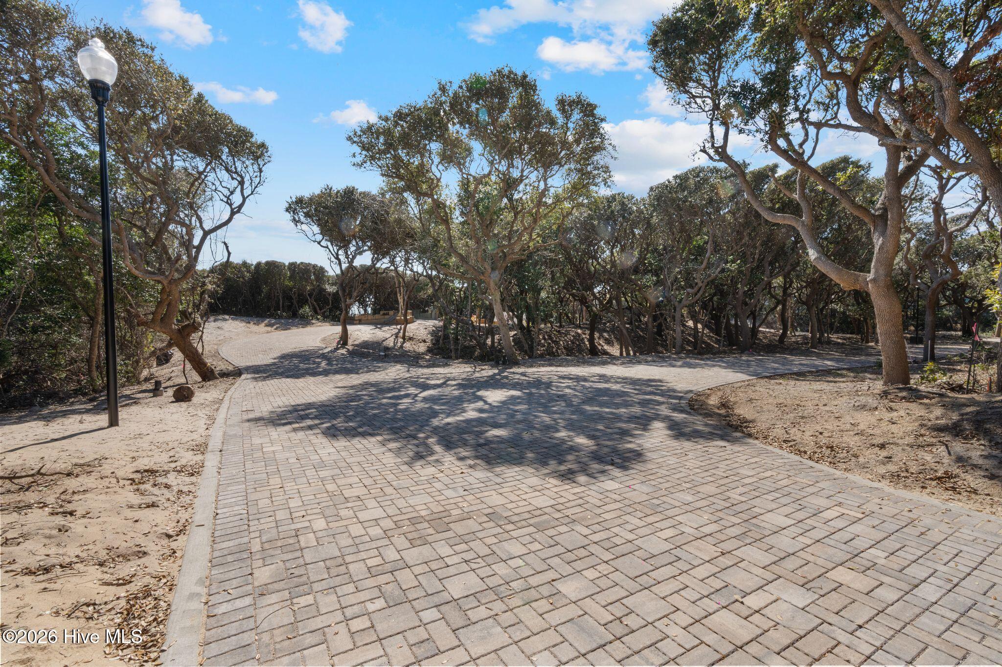 Image 4: Charming Paver Roadway