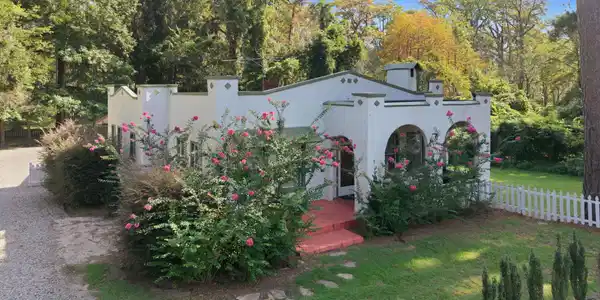 Image 4