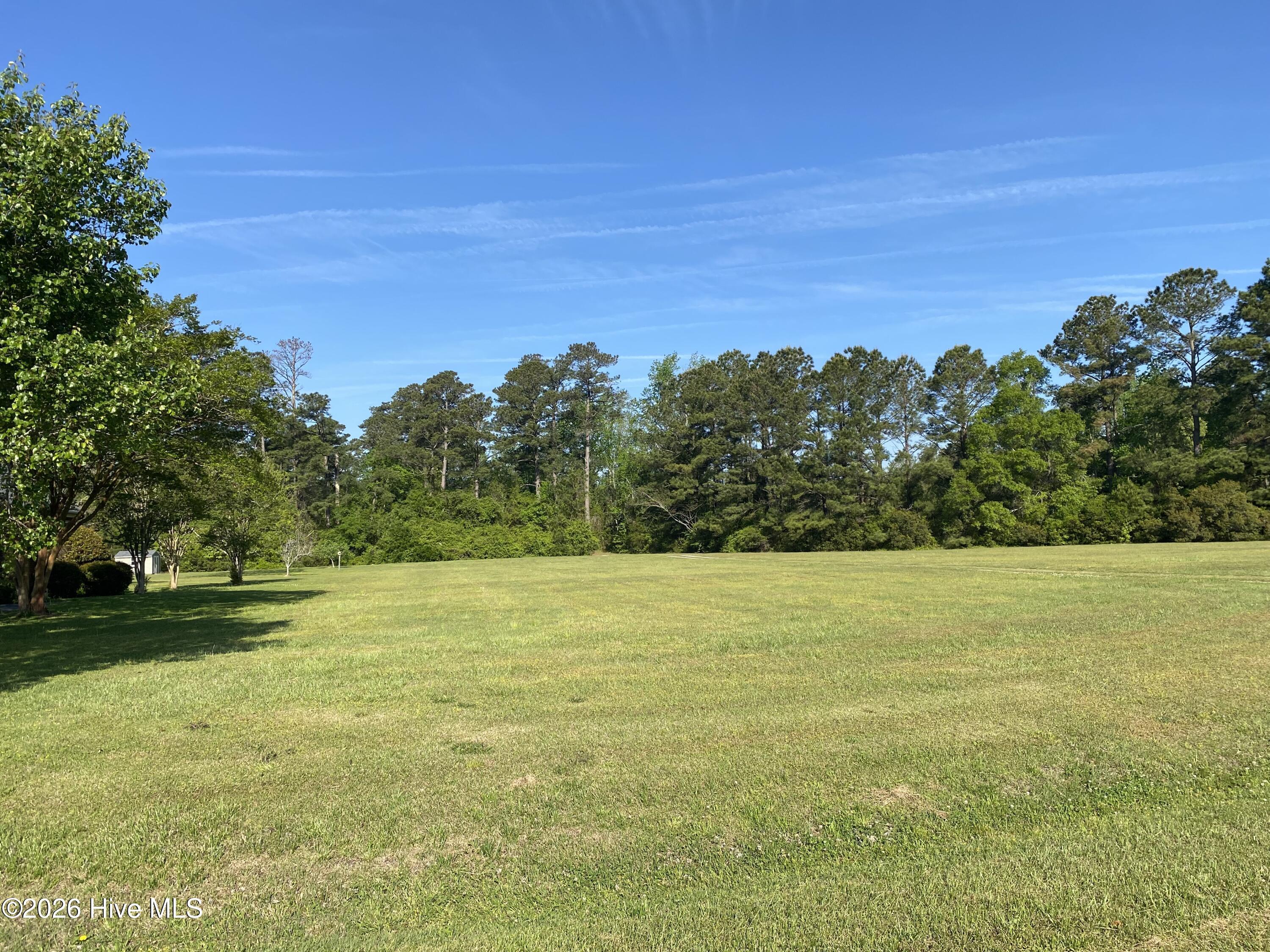 Image 3: Solid Dry Upland - not in Flood Zone