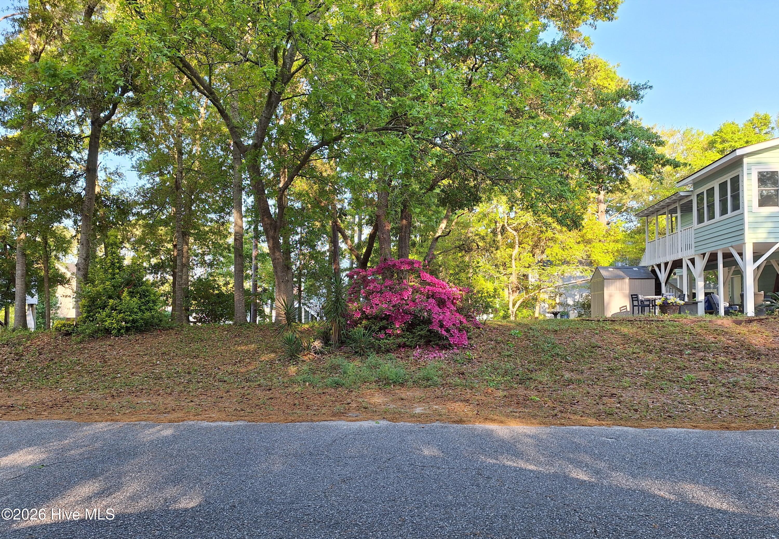 Image 1: Lot