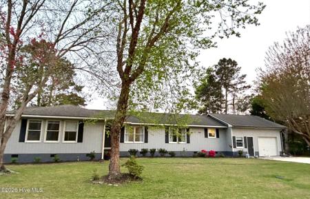 111 Tree Fern Drive