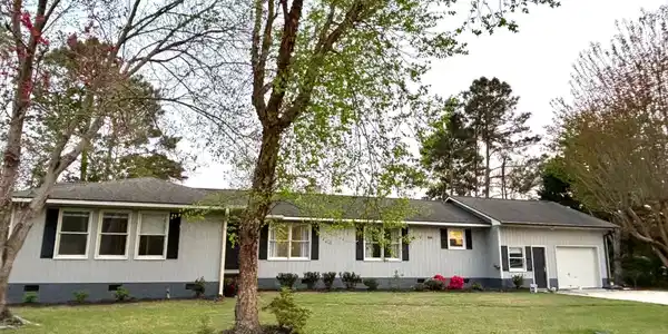 111 Tree Fern Drive
