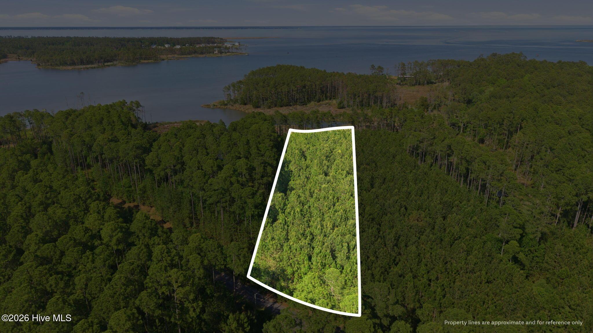 Image 2: Lot 14