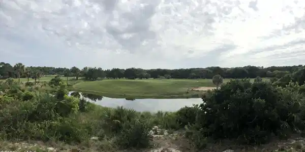 31 Mourning Warbler Trail