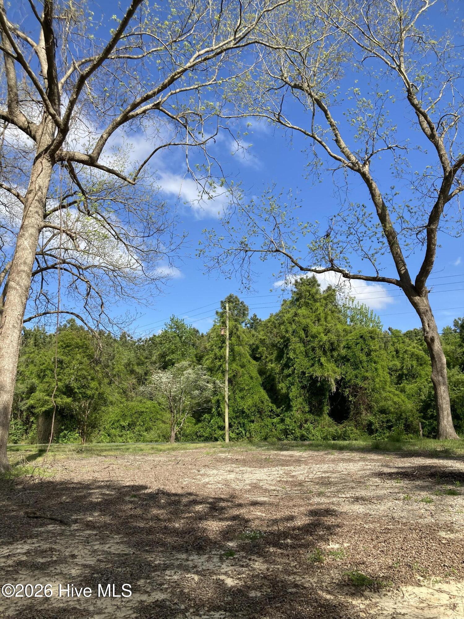 Image 2: IMG_8071