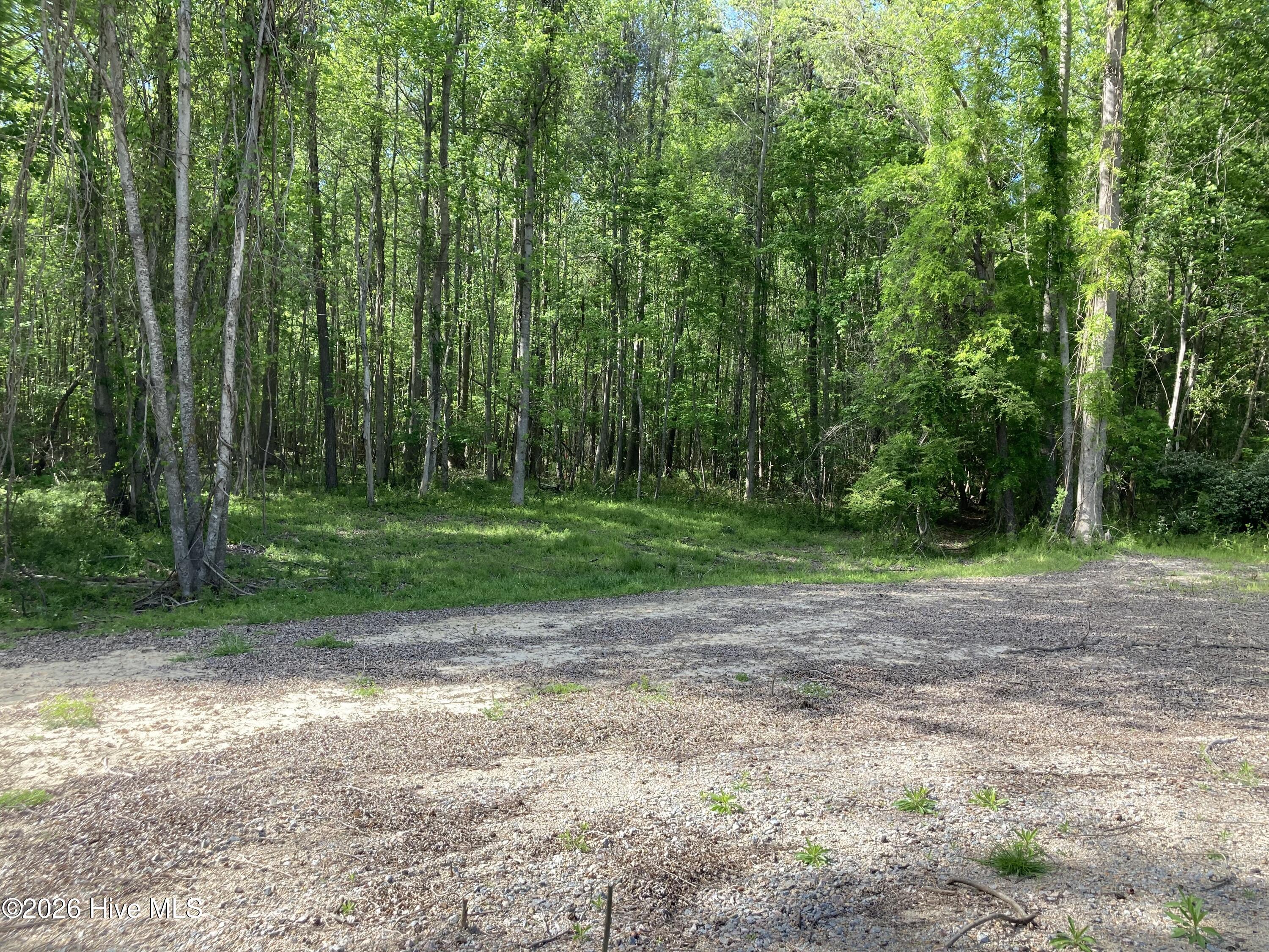Image 3: IMG_8068
