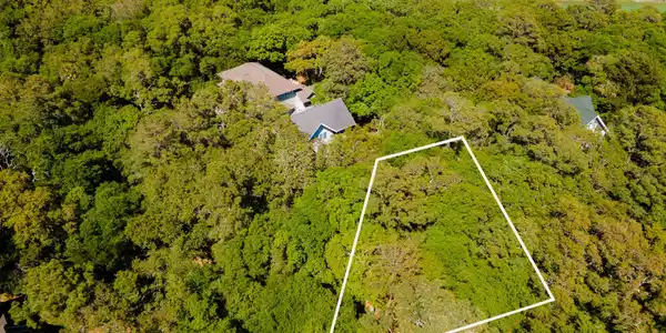 1 Sabal Palm Trail