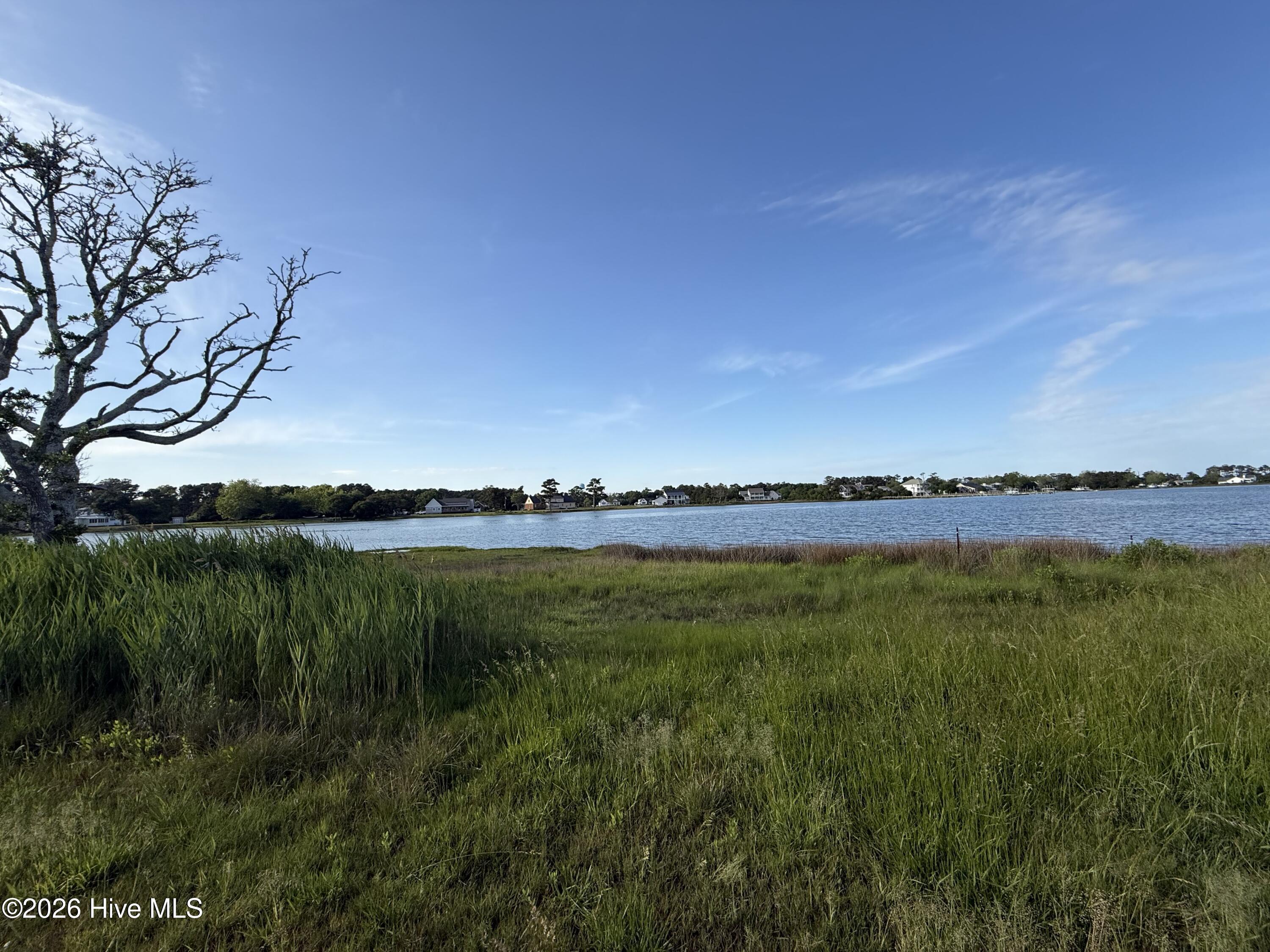 Image 2: IMG_1796