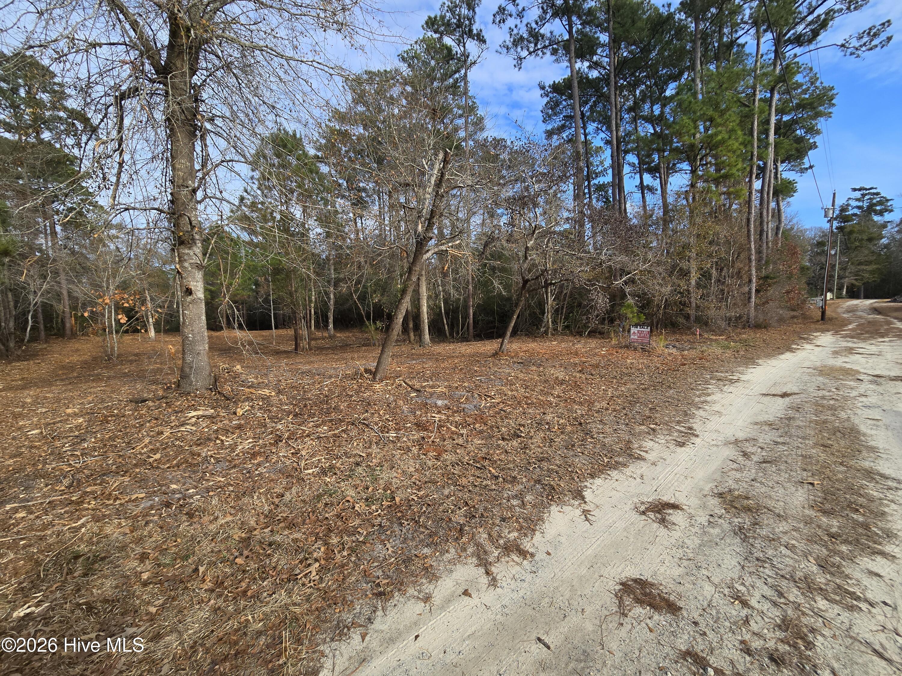 Image 1: Front of property and Ace Ln