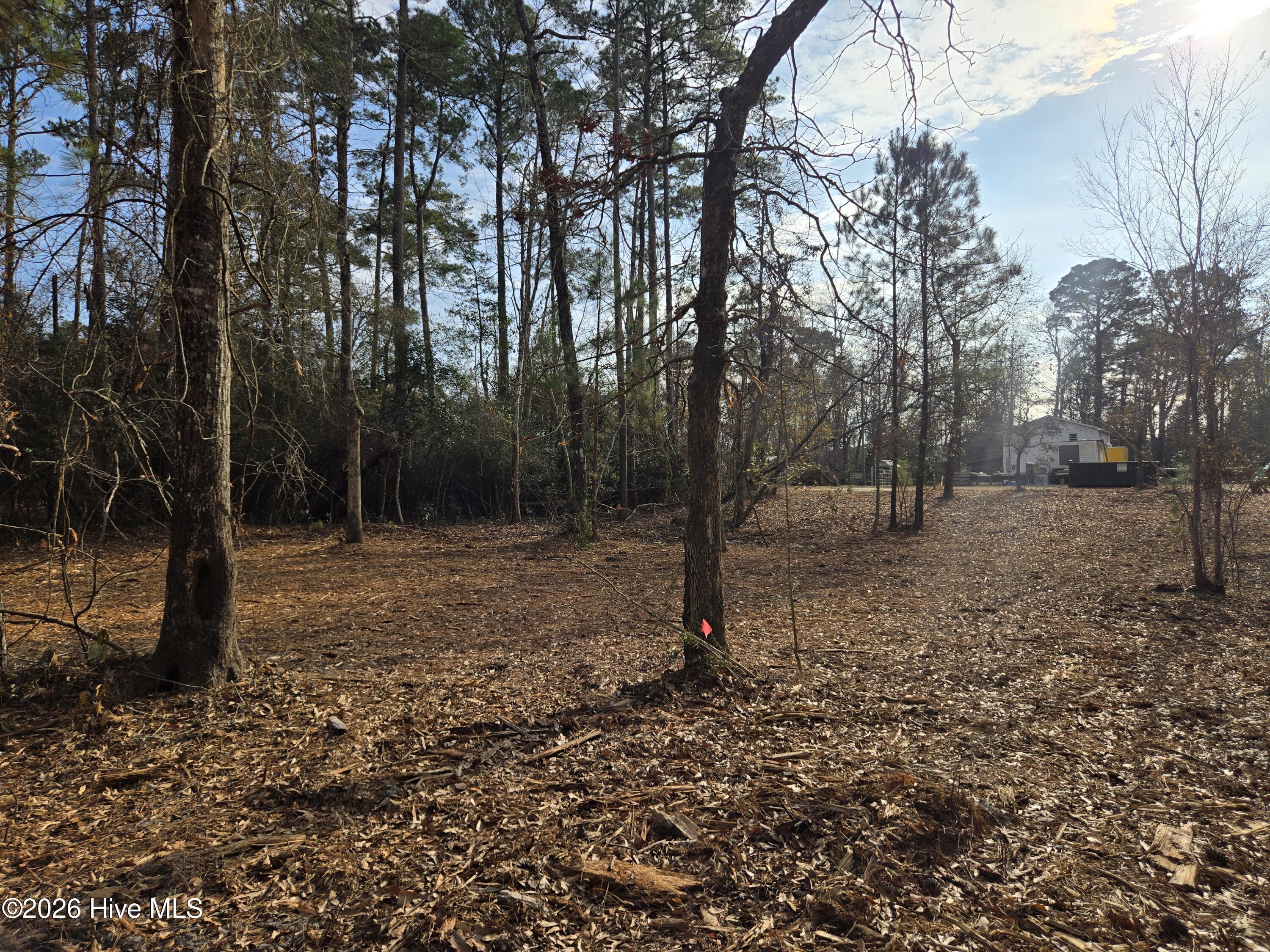 Image 4: Looking from property toward road