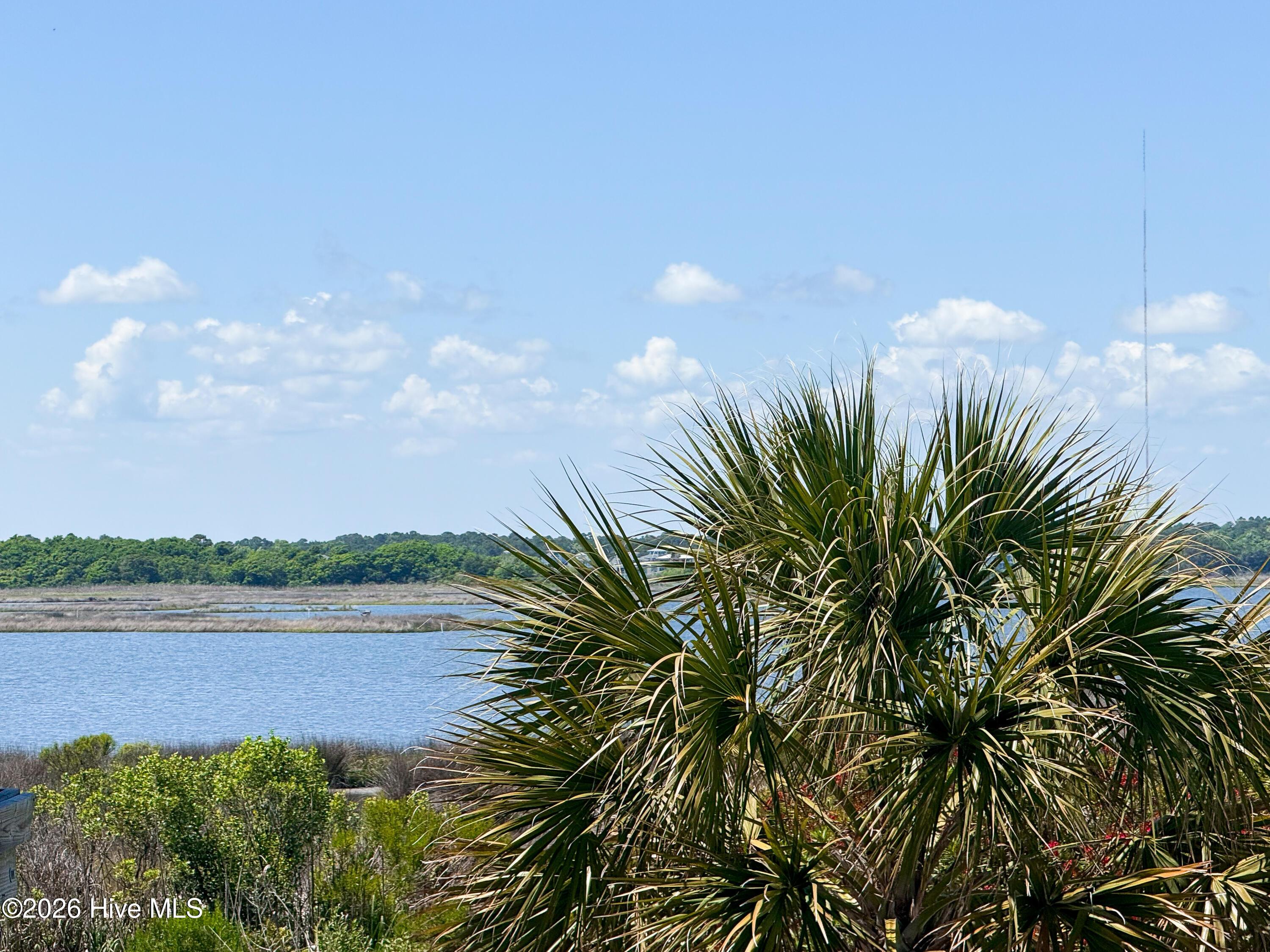 Image 3: IMG_1124