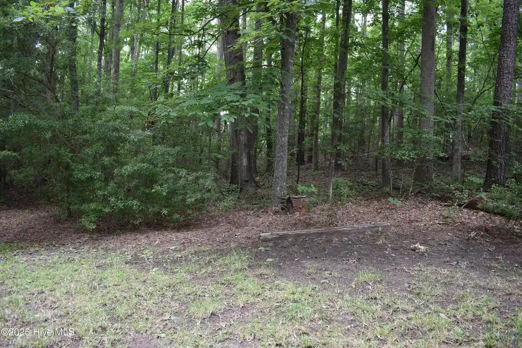 Image 1: 3 Lot Photo
