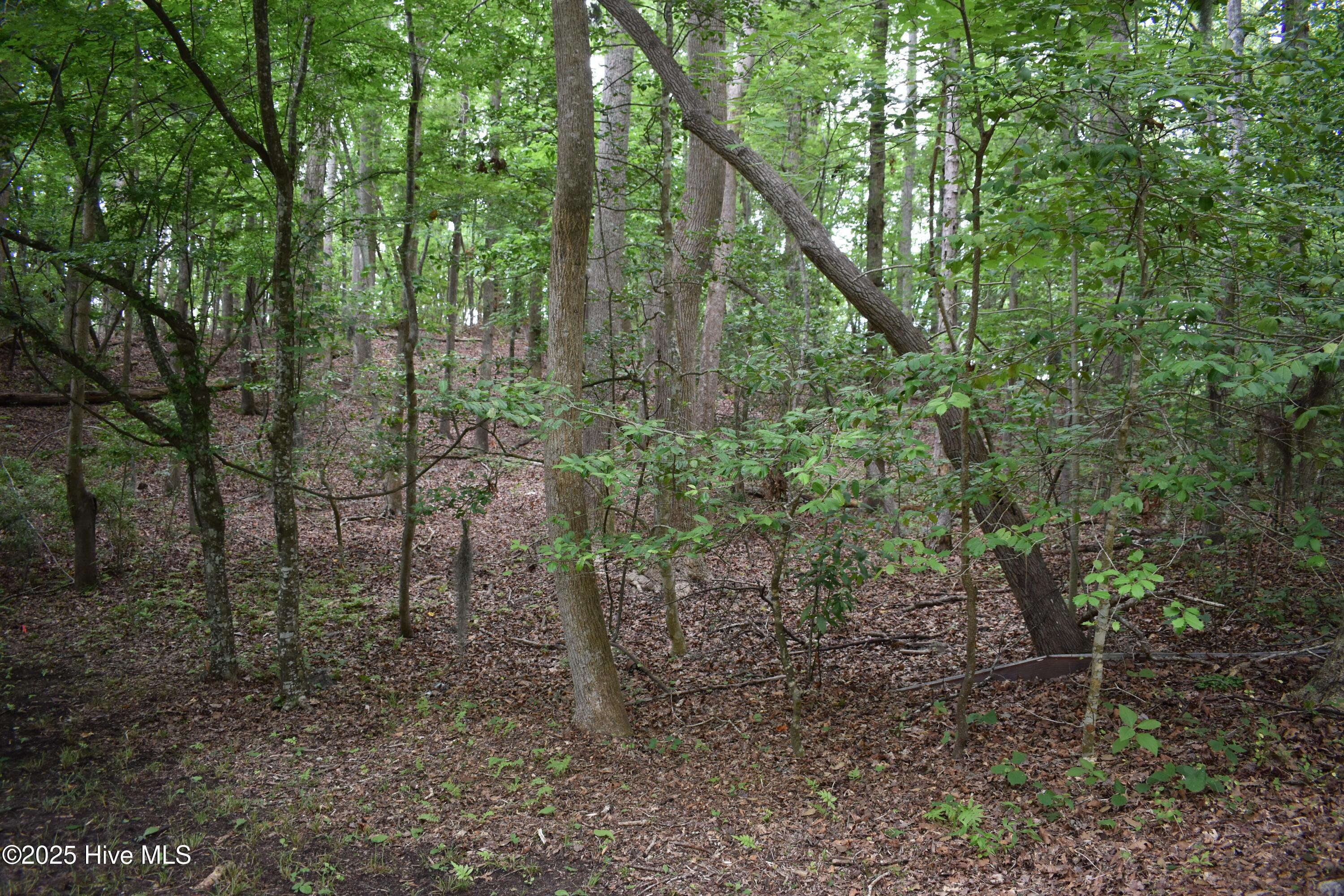Image 3: 2 Lot Photo