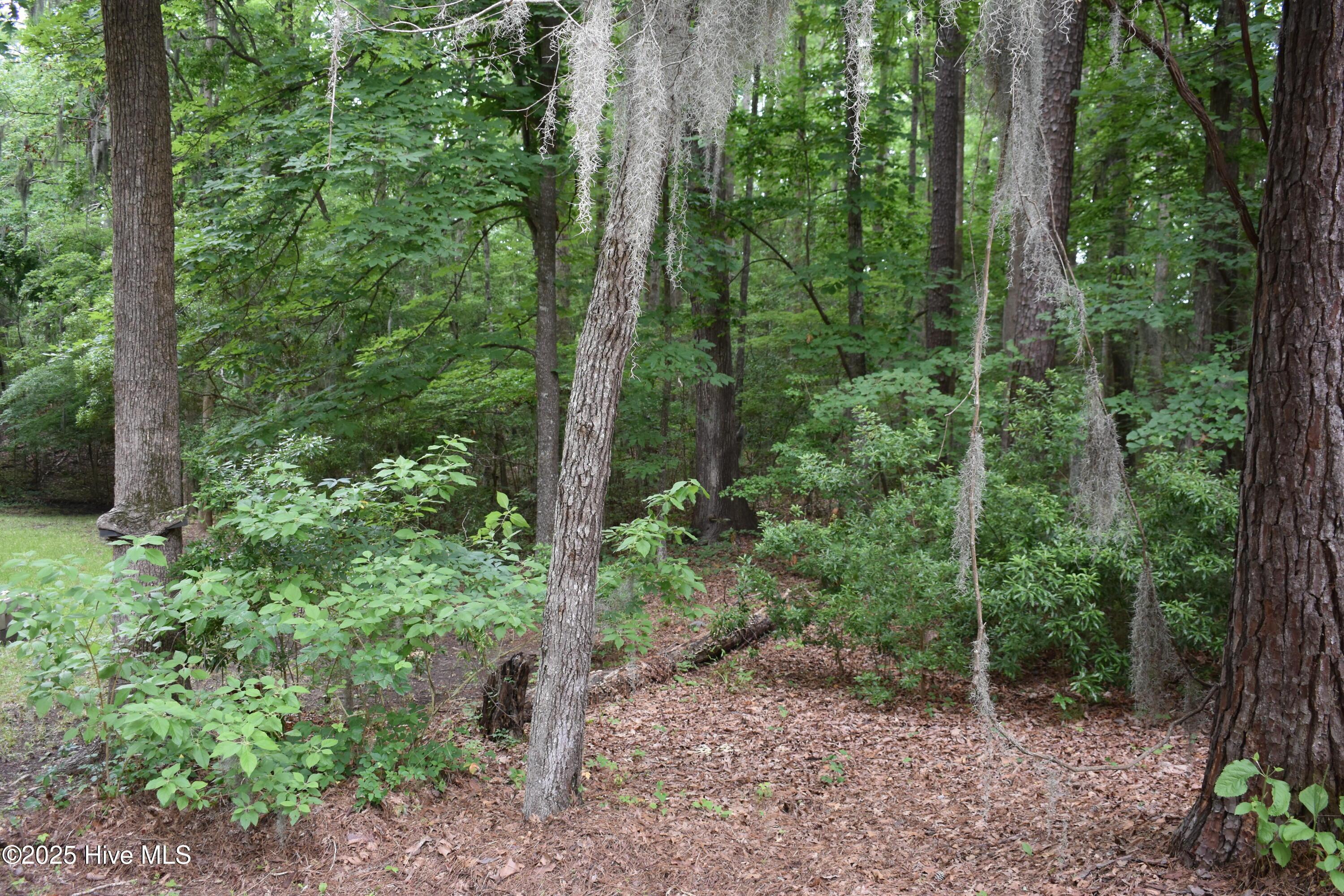 Image 4: 4 Lot Photo