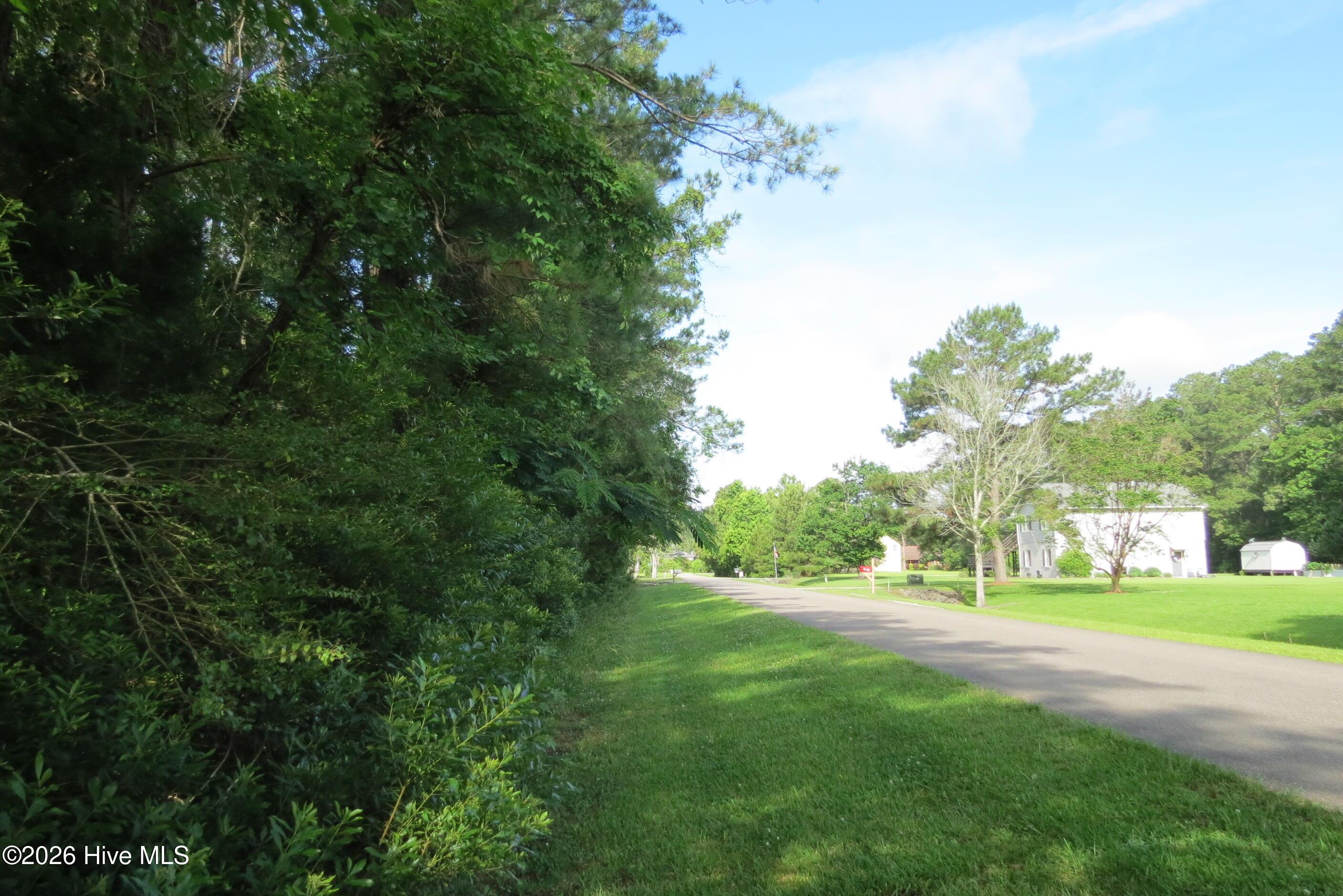 Image 3: IMG_2926