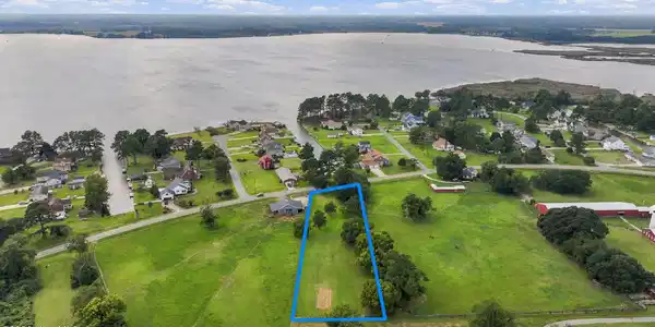 Image 4: Aerial