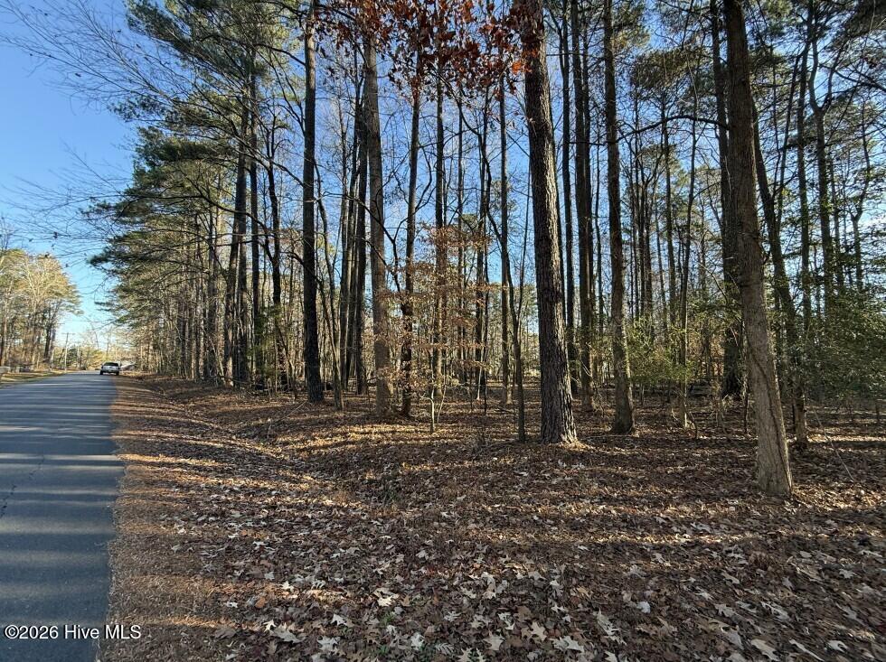Image 4: photo 4