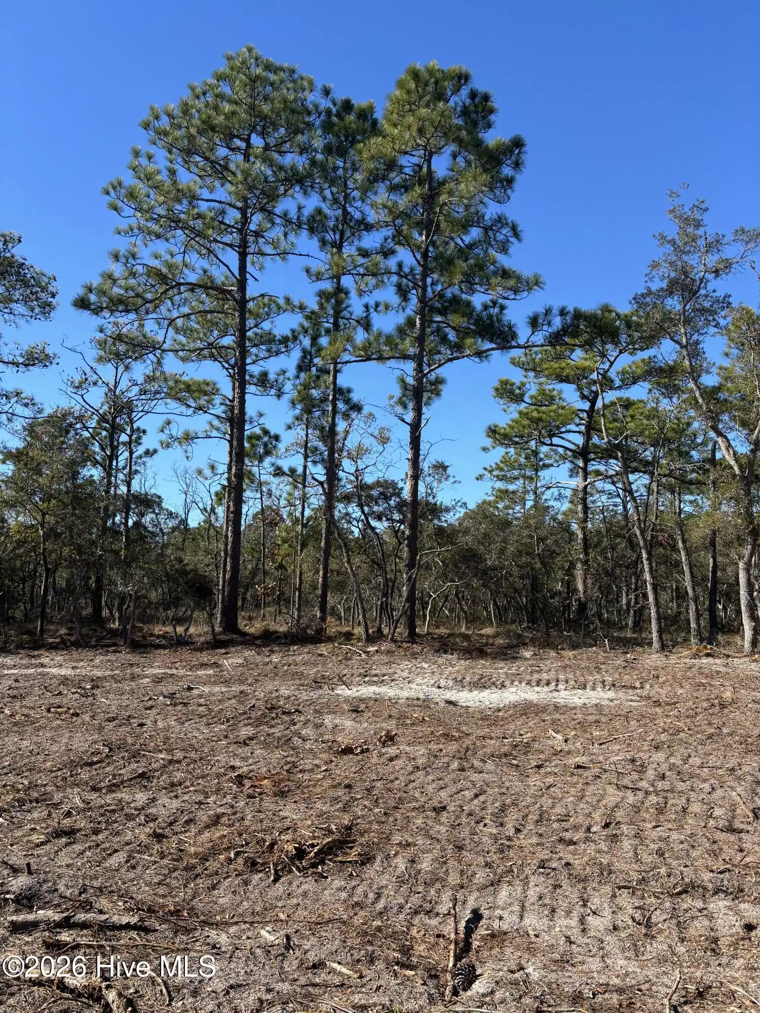 Image 1: Lot 123