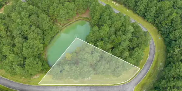 Image 2: Lot 216