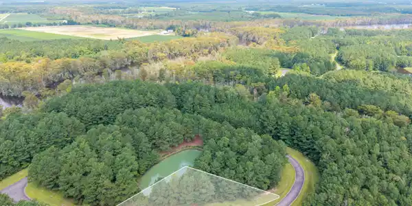 Image 4: Lot 216