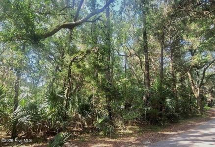 64 Dowitcher Trail