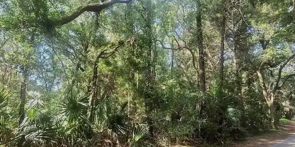 64 Dowitcher Trail