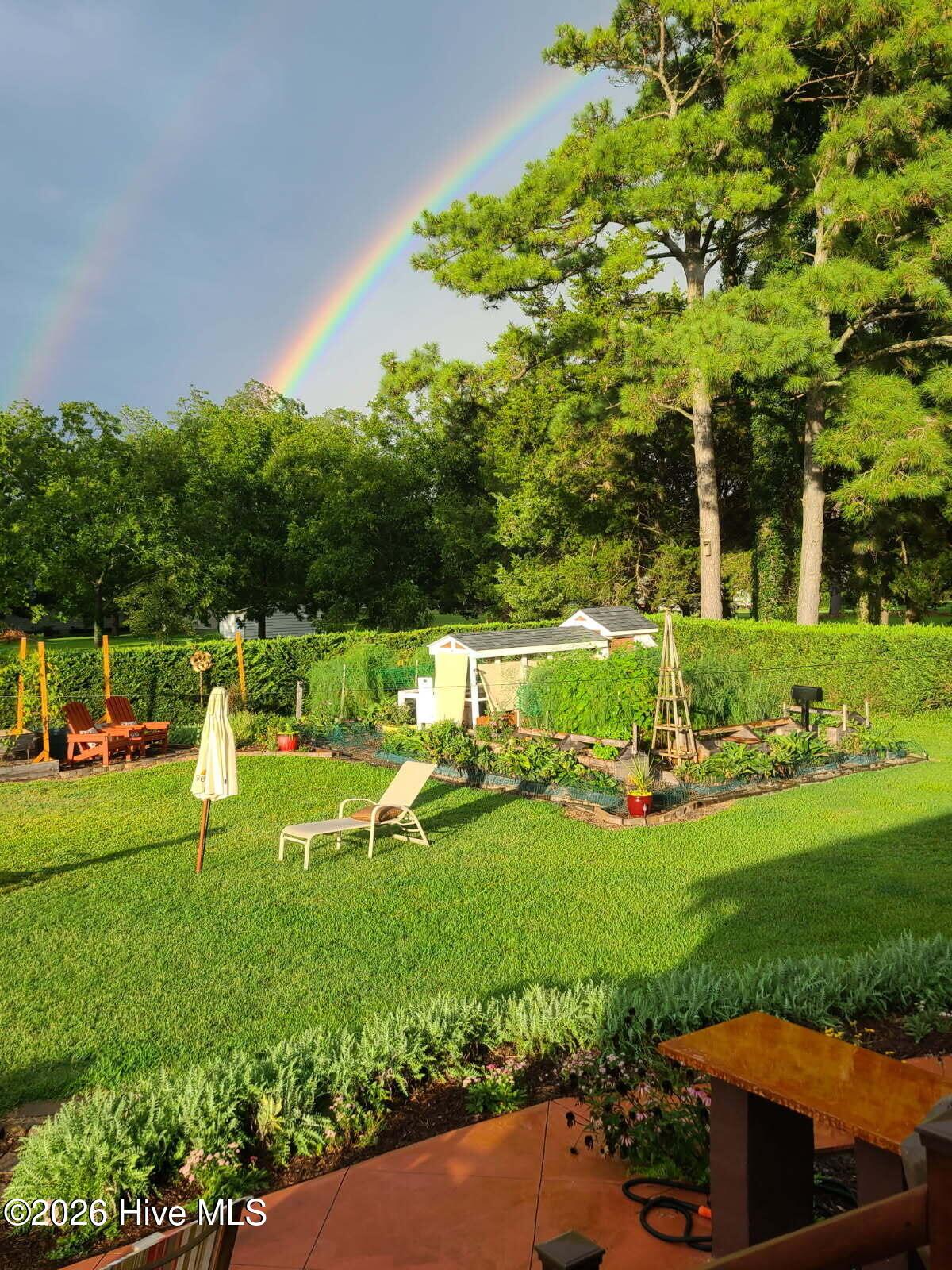 Image 2: image000000 (4)