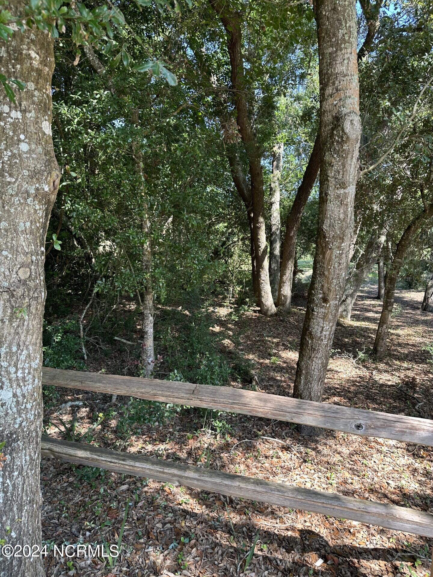 Image 4: a