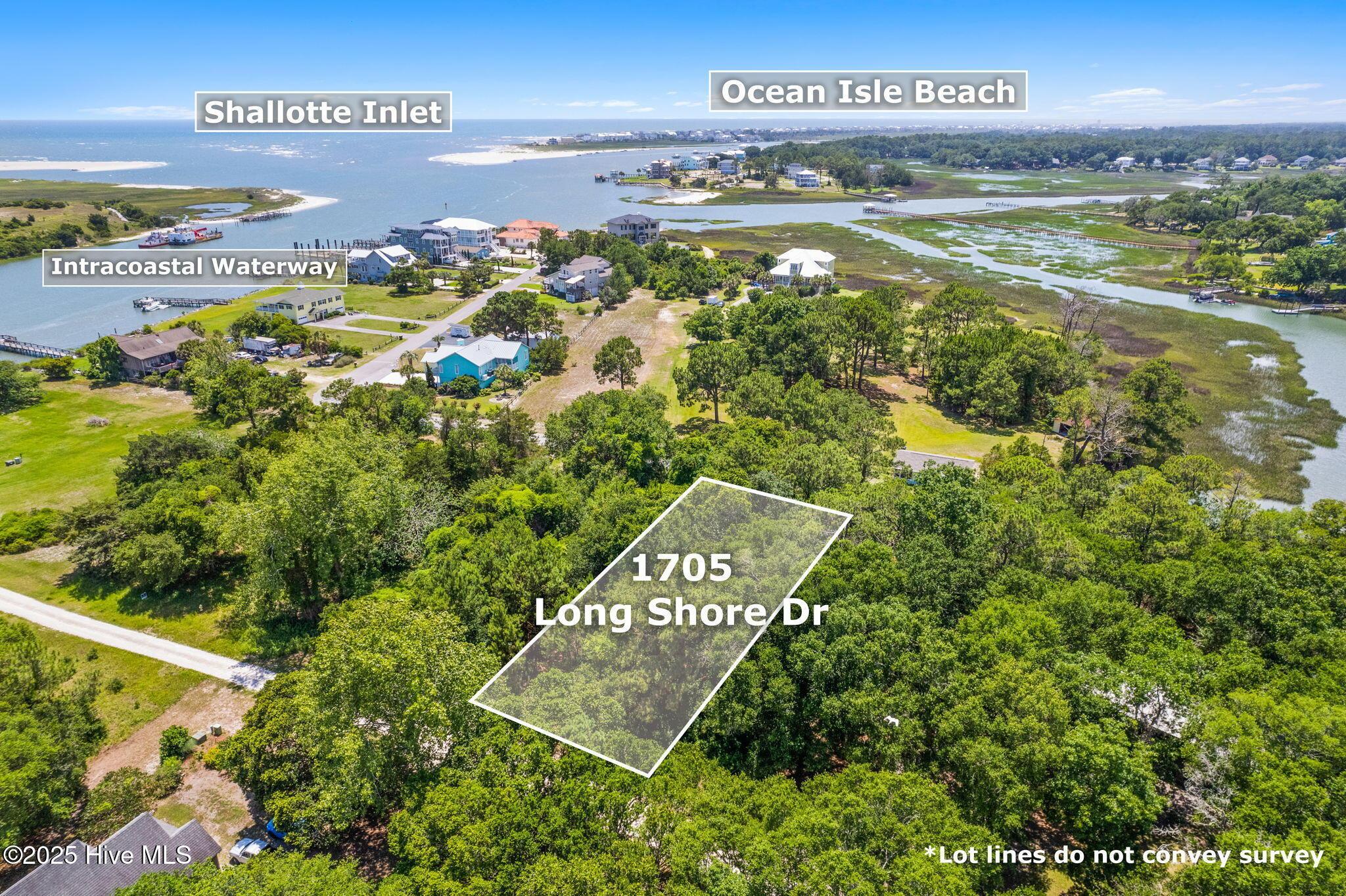 Image 2: 2-web-or-mls-CAMMediaLLC.com 1705-3