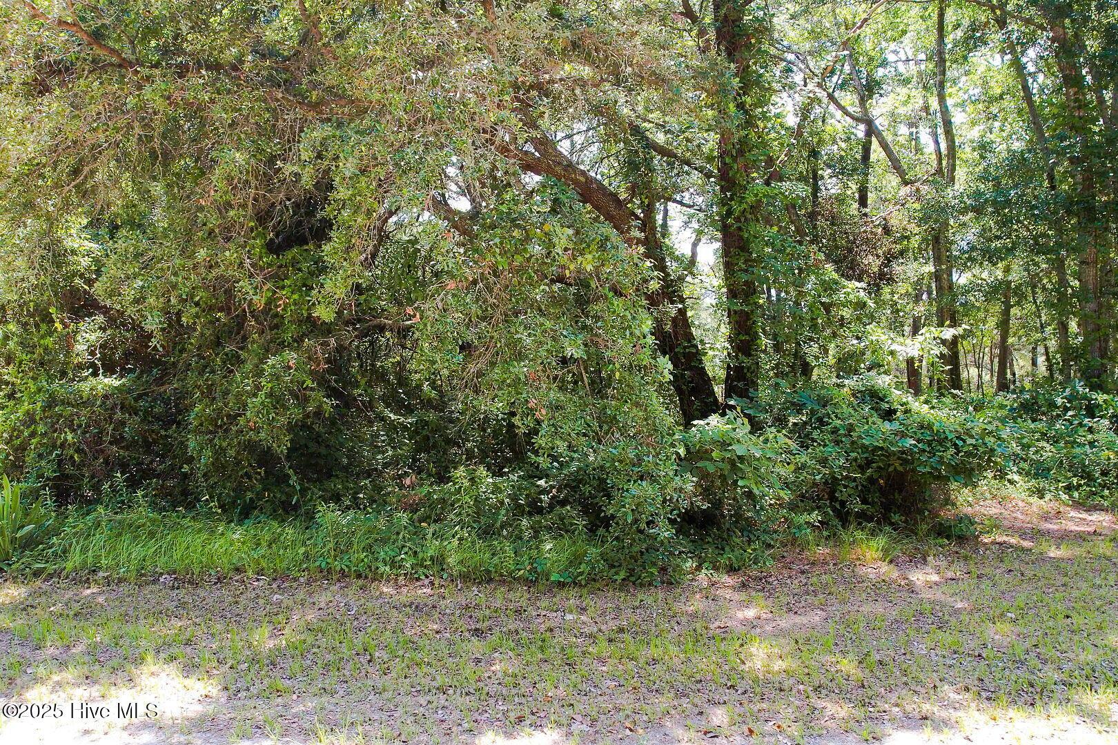 Image 3: 11-web-or-mls-CAMMediaLLC.com 1705-100