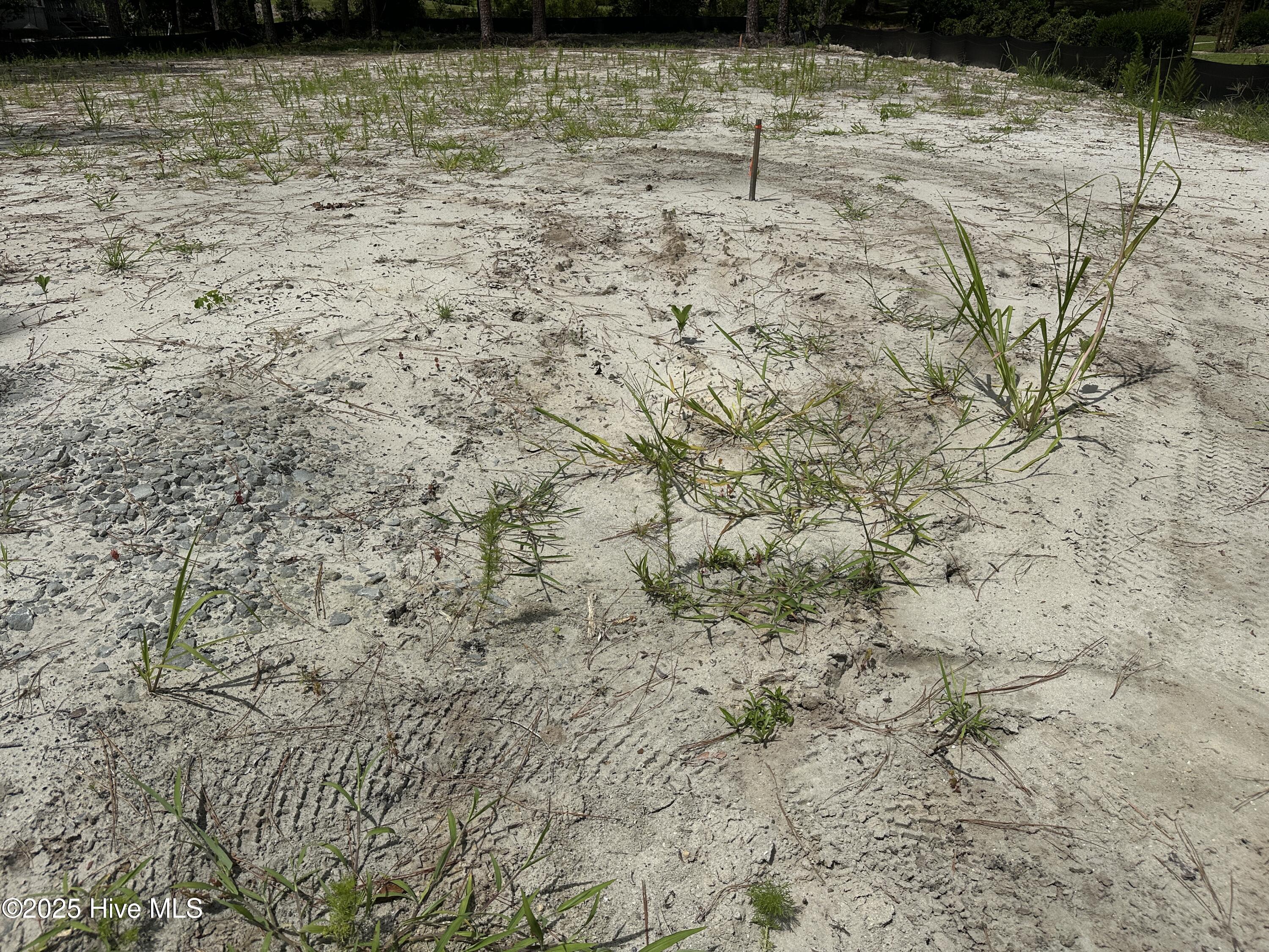 Image 4: Cleared and Fill Dirt Added