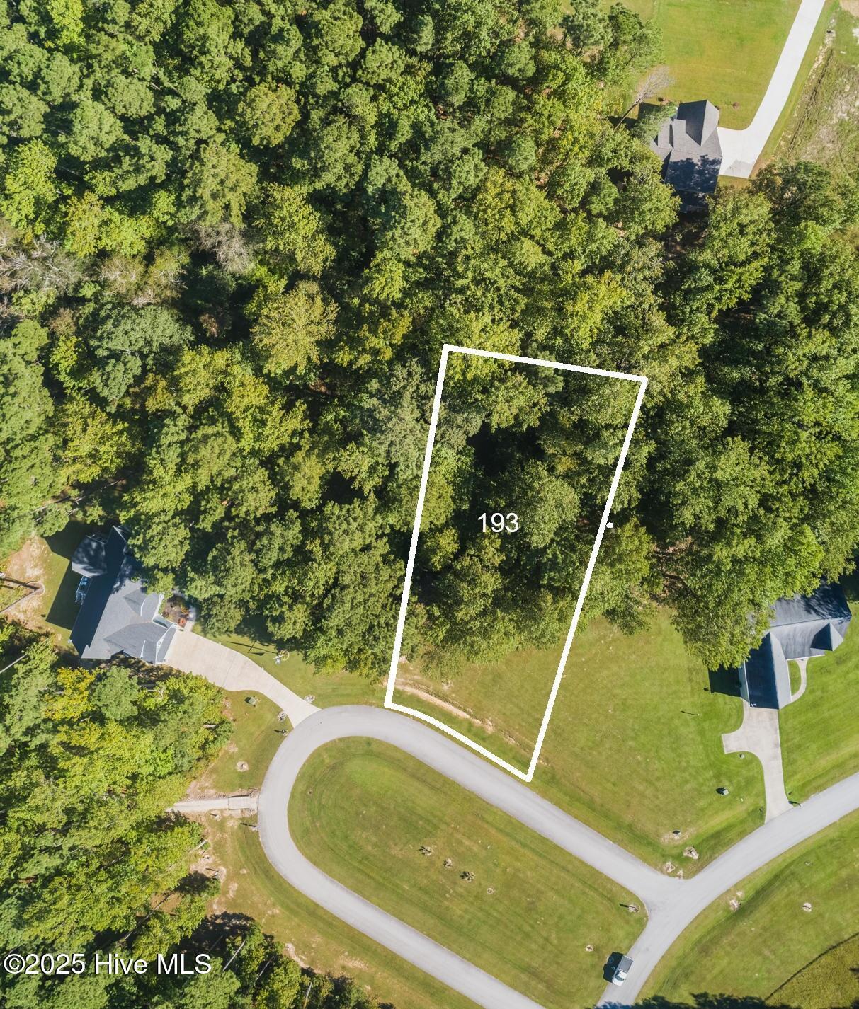 Image 1: 193 aerial pic