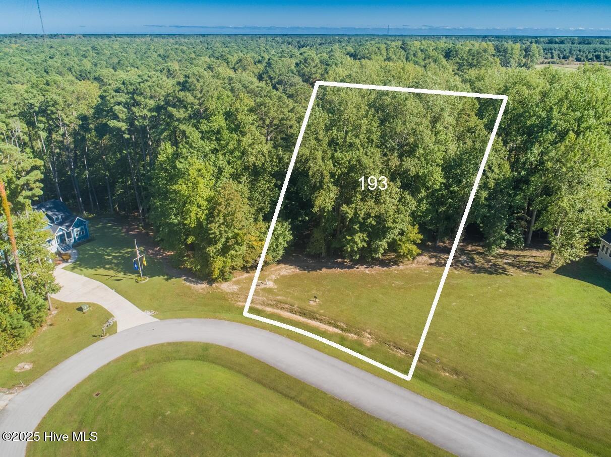 Image 2: 193 aerial pic 2