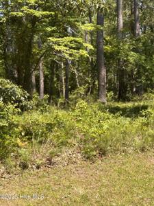 135 Martin Creek Drive