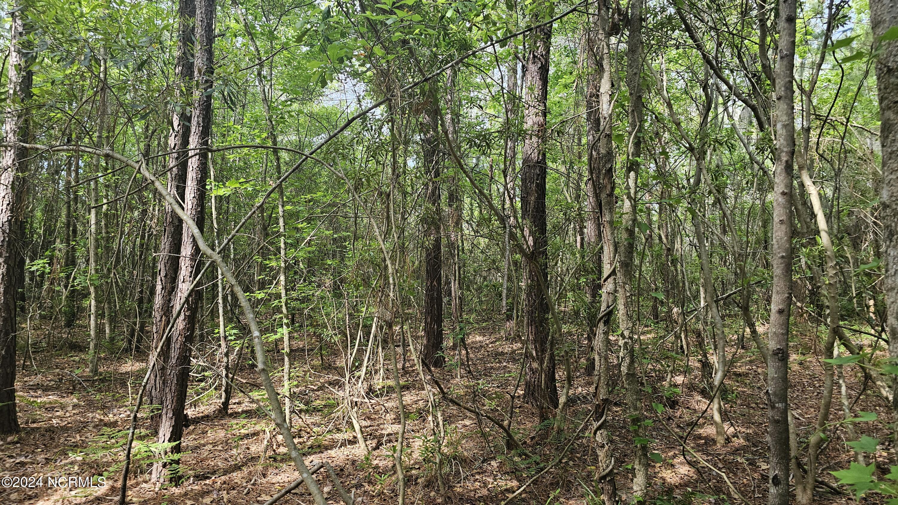 Image 3: 20240426_102045